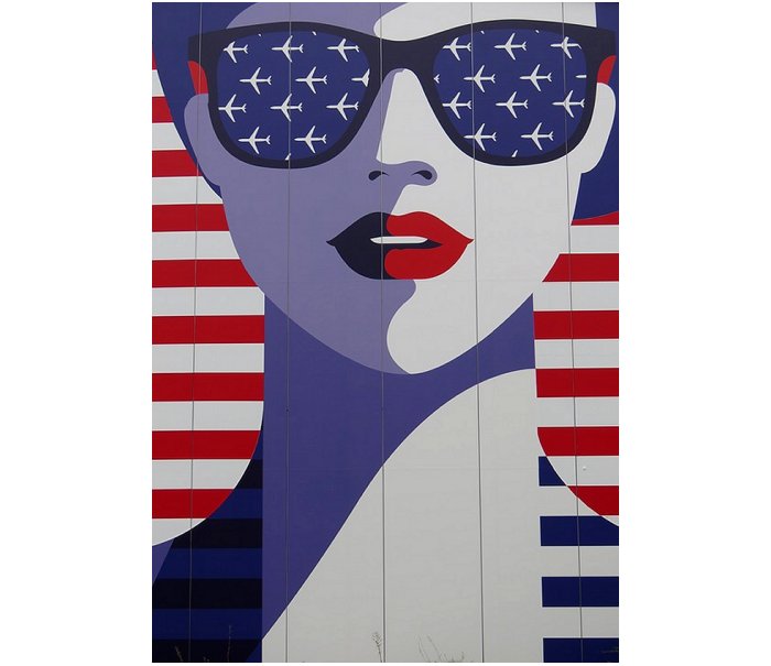 Usa Woman Face Glasses Aircraft Flight America